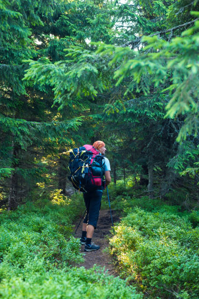 istock Traveler go with big backpack along the trail 846338816