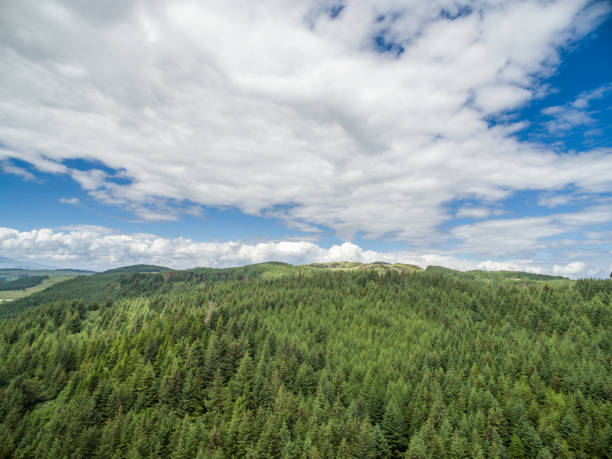 istock Aerial of a forest in Argyll 846339132