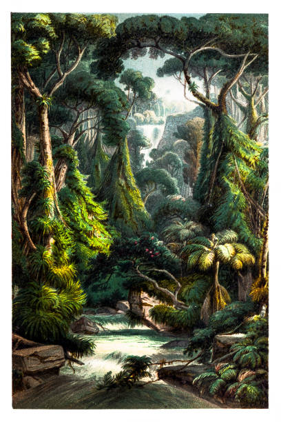 istock Tropical jungle Waterfall with Palm Trees ,Ferns and Lianas 846339398