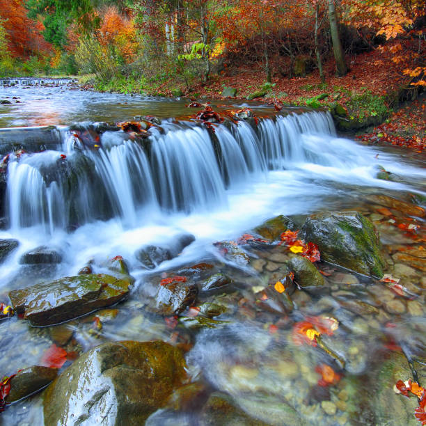 istock Autumnal forest, rocks covered with moss 846344114