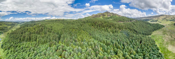 istock Aerial of a forest in Argyll 846346938