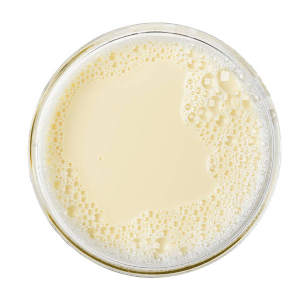 istock Cup with soy milk bubble foam isolated on white background on top view texture object design 846354520