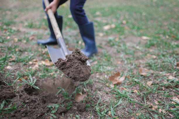 istock The boy is digging the ground in the park in the fall. Worked process. 846359428