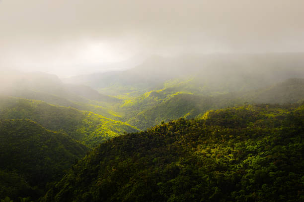 istock Landscape of Black River park 846362742