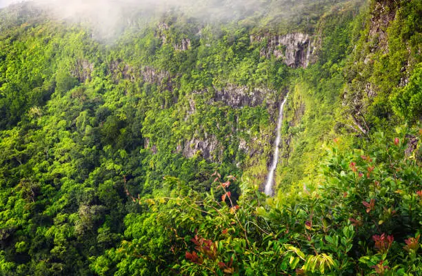 Photo of Panorama of waterfall Black River and jungle