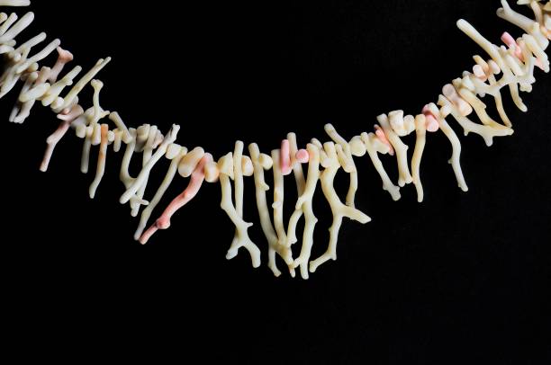 istock Pink coral necklace on black background. 846369342