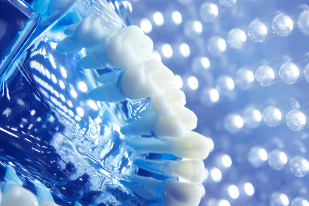 istock Dentists dental teeth teaching model showing each tooth, gum, root, implant, decay, plaque and enamel. 846373716