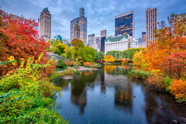 automne à central park - midtown manhattan photos et images de collection