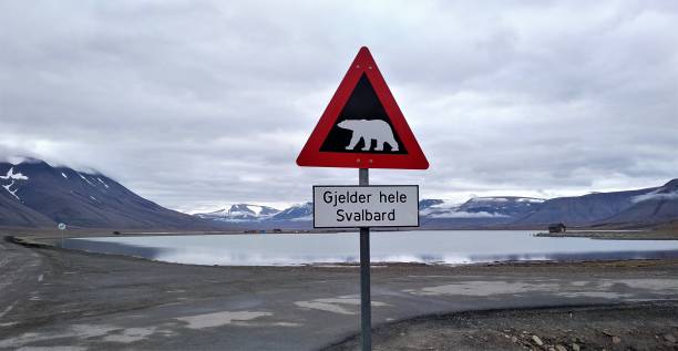 istock Transport in the Arctic - Bear Roads, Railroads & Ship Loads 846374680