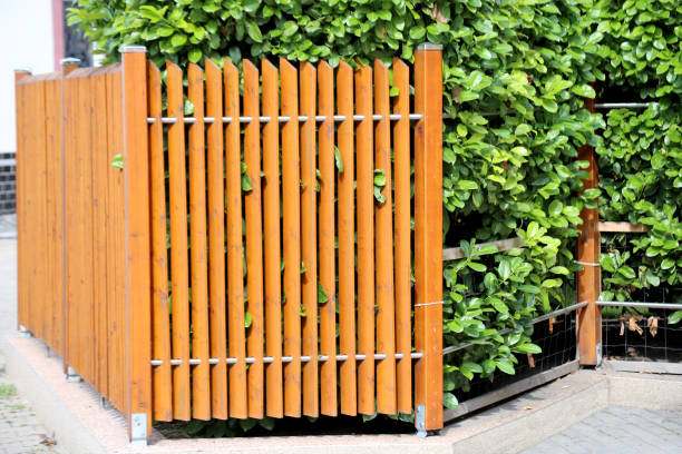 istock Wooden privacy fence 846382512