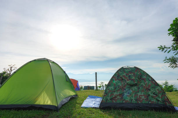 istock Tour tents camp 846395614