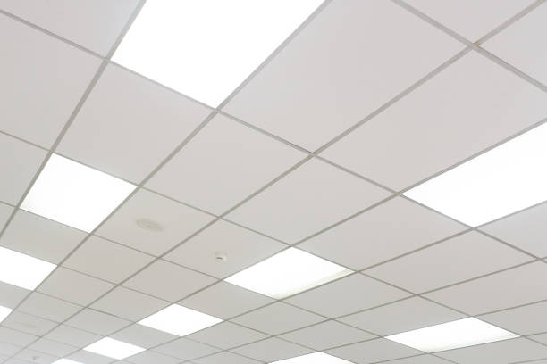 istock White ceiling with neon light bulbs in uprisen view 846399554