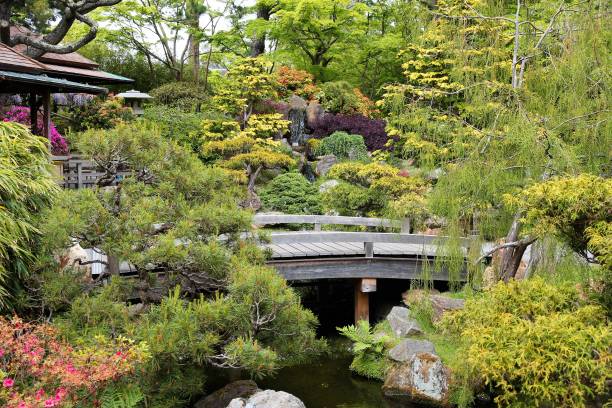 istock Japanese Tea Garden 846409818