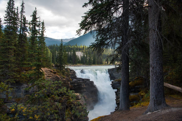 istock Athabasca Falls in Jasper National Park - Alberta, Canada 846409864