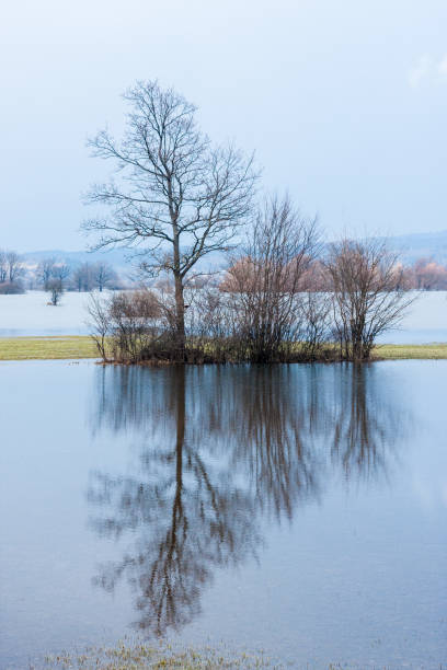 istock Water covered Planinsko karts field in winter. 846414994