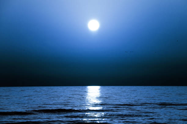 istock A blue night sky over the sea 846418236