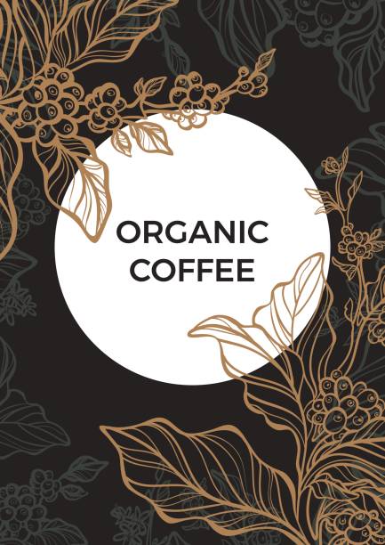 illustrations, cliparts, dessins animés et icônes de branche de café avec les feuilles et les grains de café. - backgrounds bean drink caffeine