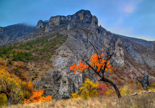 istock Landscape in the mountain with colorful autumn forest 846431046