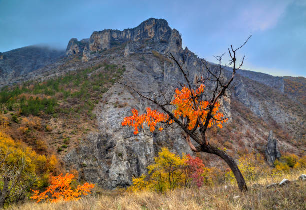 istock Landscape in the mountain with colorful autumn forest 846431138