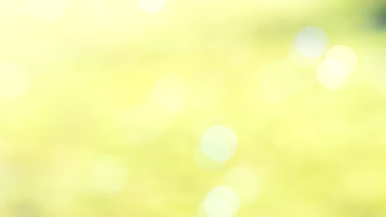 Colorful bokeh background