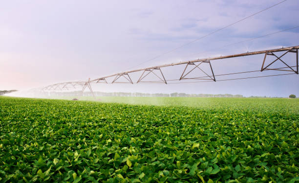 istock Automated farming irrigation system. Agricultural concept 846436214