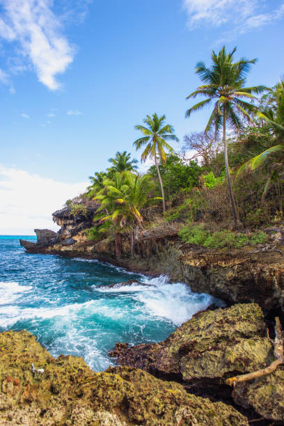 istock Wild tropical rocky shore, bay, lagoon. 846436980
