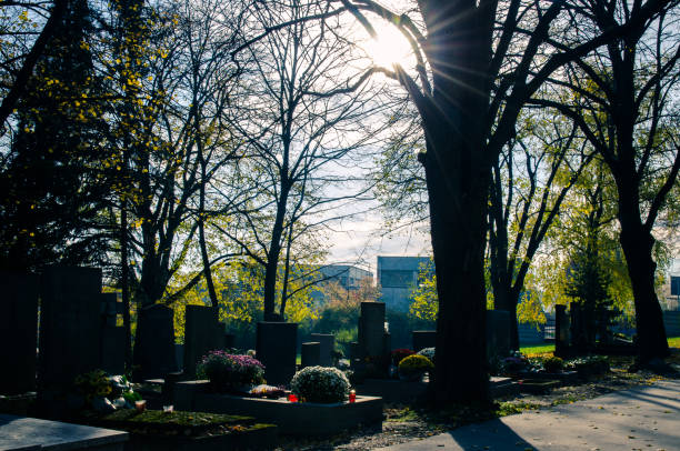 istock in the afternoon cemetery 846441488