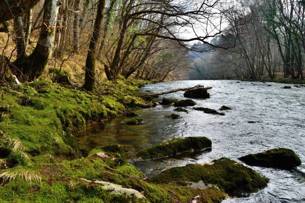 istock Reka River Slovenian Karst 846447316