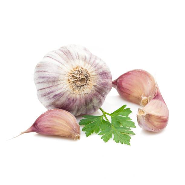 istock garlic  with parsley greenery isolated on white background 846451132