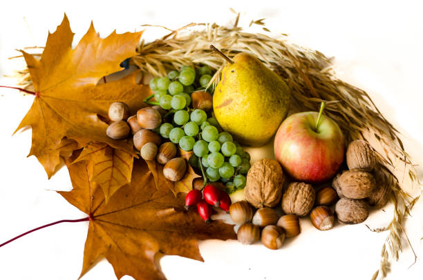 istock autumn fruits 846452058