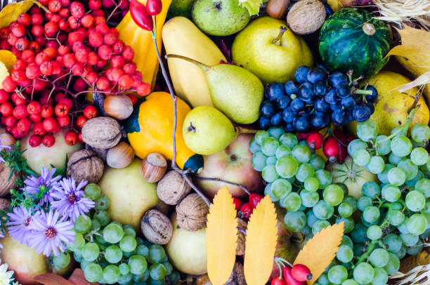 istock autumn fruits 846454486