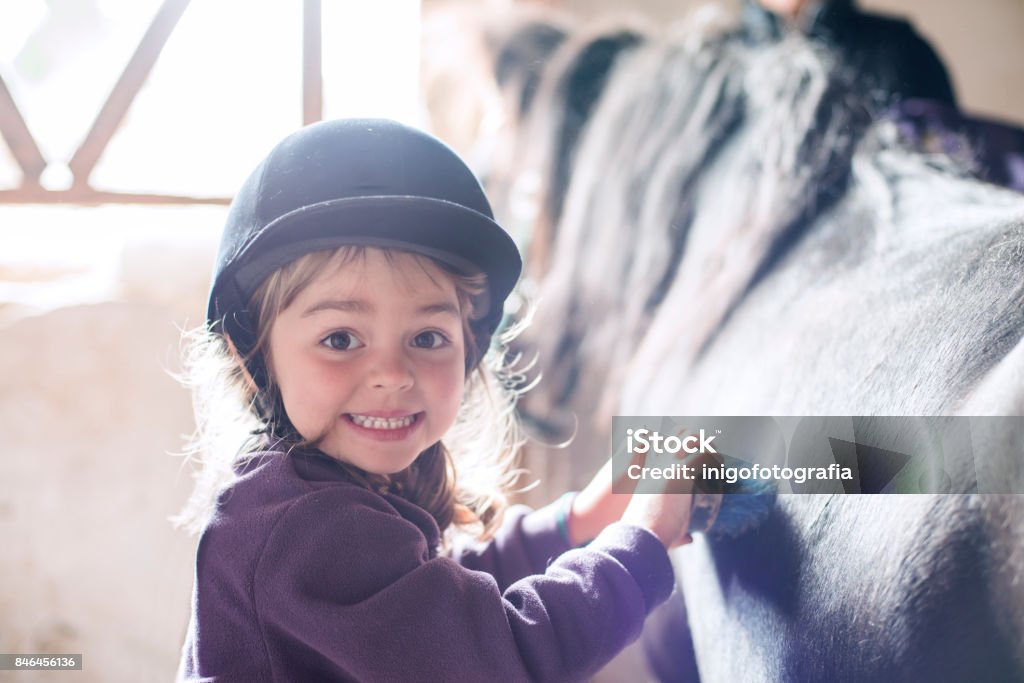 Niña cepillando a su poni - Foto de stock de Niño libre de derechos