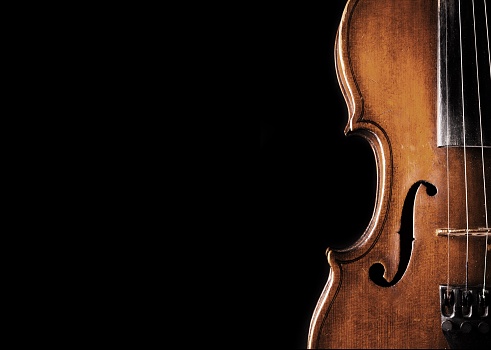 Wooden classic violin isolated on  background