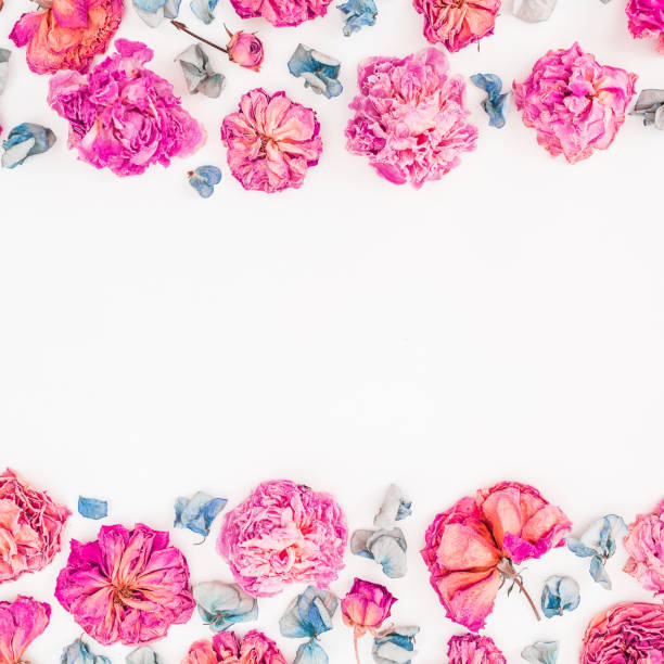 istock Frame with pink roses buds and eucalyptus arrangement on white background, Flat lay, Top view 846465522