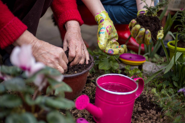 istock Women gardening in backyard on a sunny spring day - low to ground, soft focus 846465728