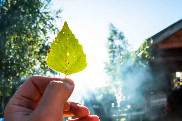 Yellow leaf in the hands against the blue sky with sunlight