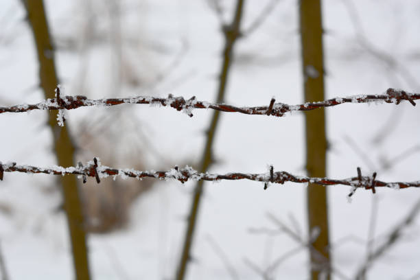 istock close-up of barbed wire in winter with snow 846473468