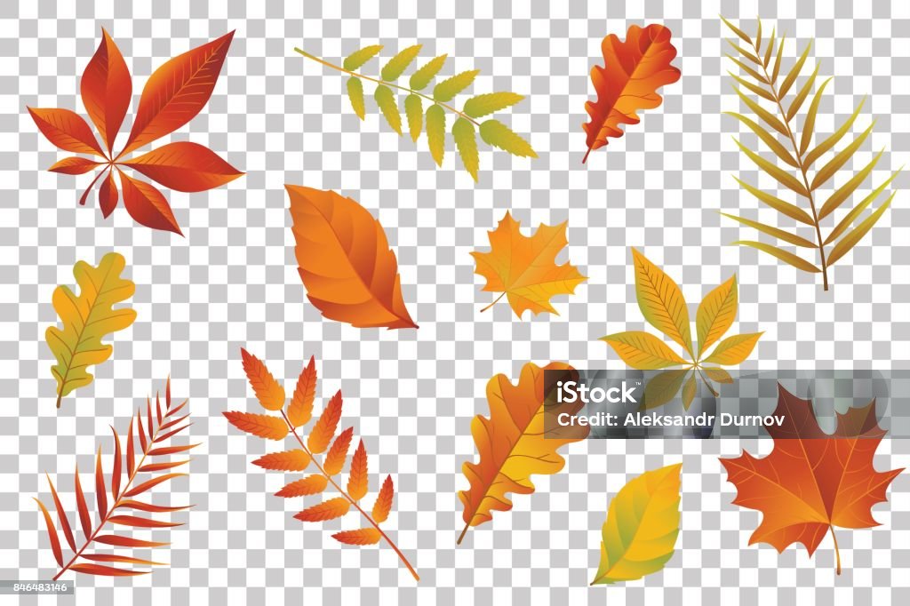 Autumn falling leaves isolated on transparent background. Vector illustration. Leaf stock vector