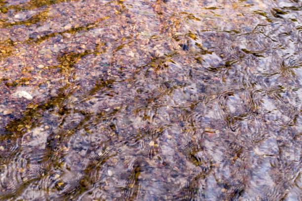 istock texture of water in river with sandy bottom. background, nature. 846492270