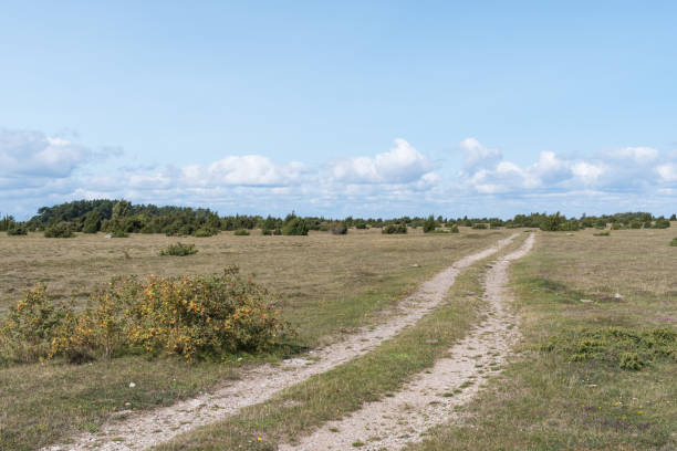 istock Winding dirt road in wilderness 846492446