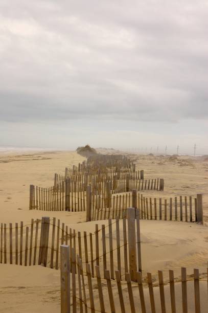 istock Dune Fences on Cape Hatteras 846495392