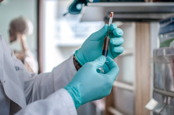 Doctor prepare a syringe for vaccination Doctor prepare a syringe for vaccinate a young girl malaria blood sample stock pictures, royalty-free photos & images