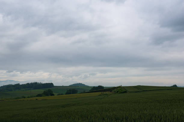 istock Beautiful rural landscape around Biei under a cloudy sky 846502116