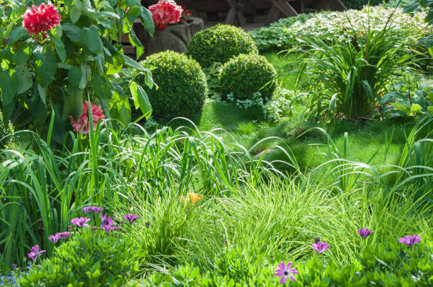 istock Beautiful flower garden 846502804