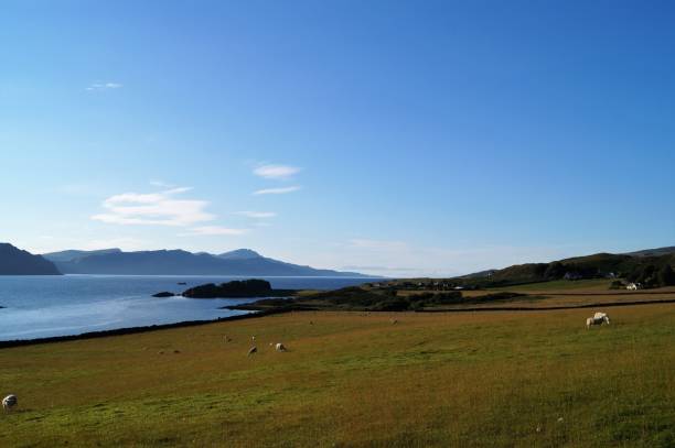 istock Raasay island, Scotland, uk 846505154