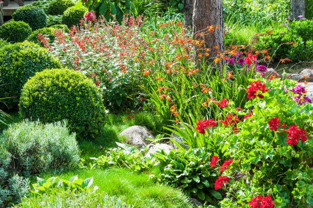 istock Beautiful flower garden 846505202