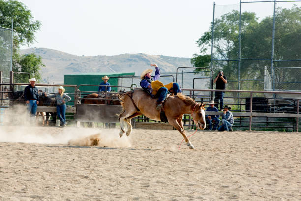 istock Bronco Rider in Rodeo 846505834