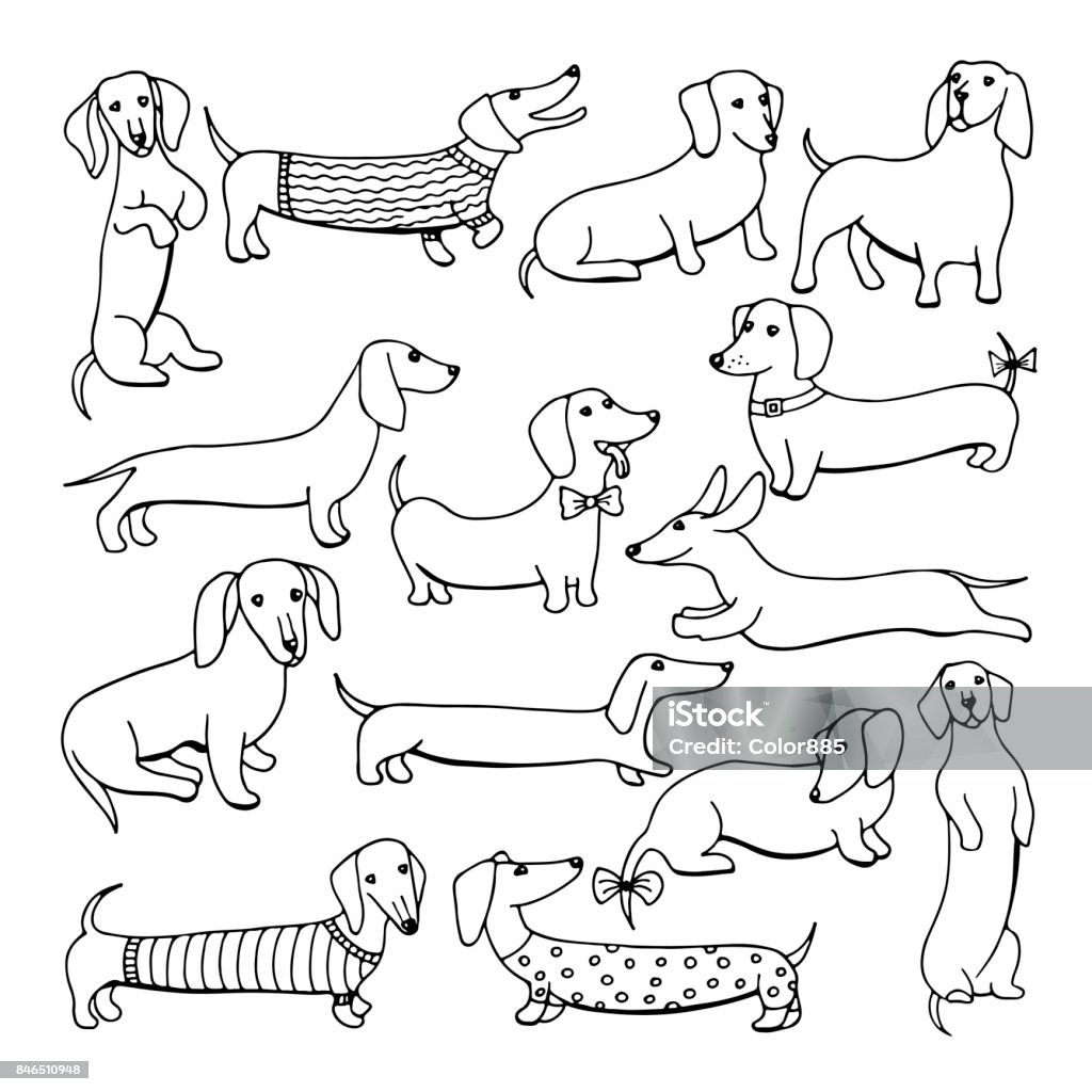 Série d’illustrations de chien teckel - clipart vectoriel de Teckel libre de droits