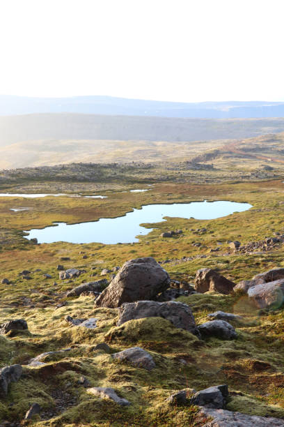 istock Lanscape with lake in Westfjords (north of Iceland) 846511182