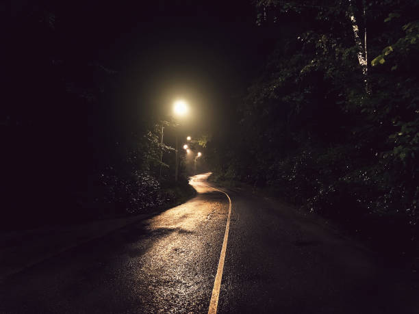 istock Night asphalt curve road in the light of the lanterns 846518202